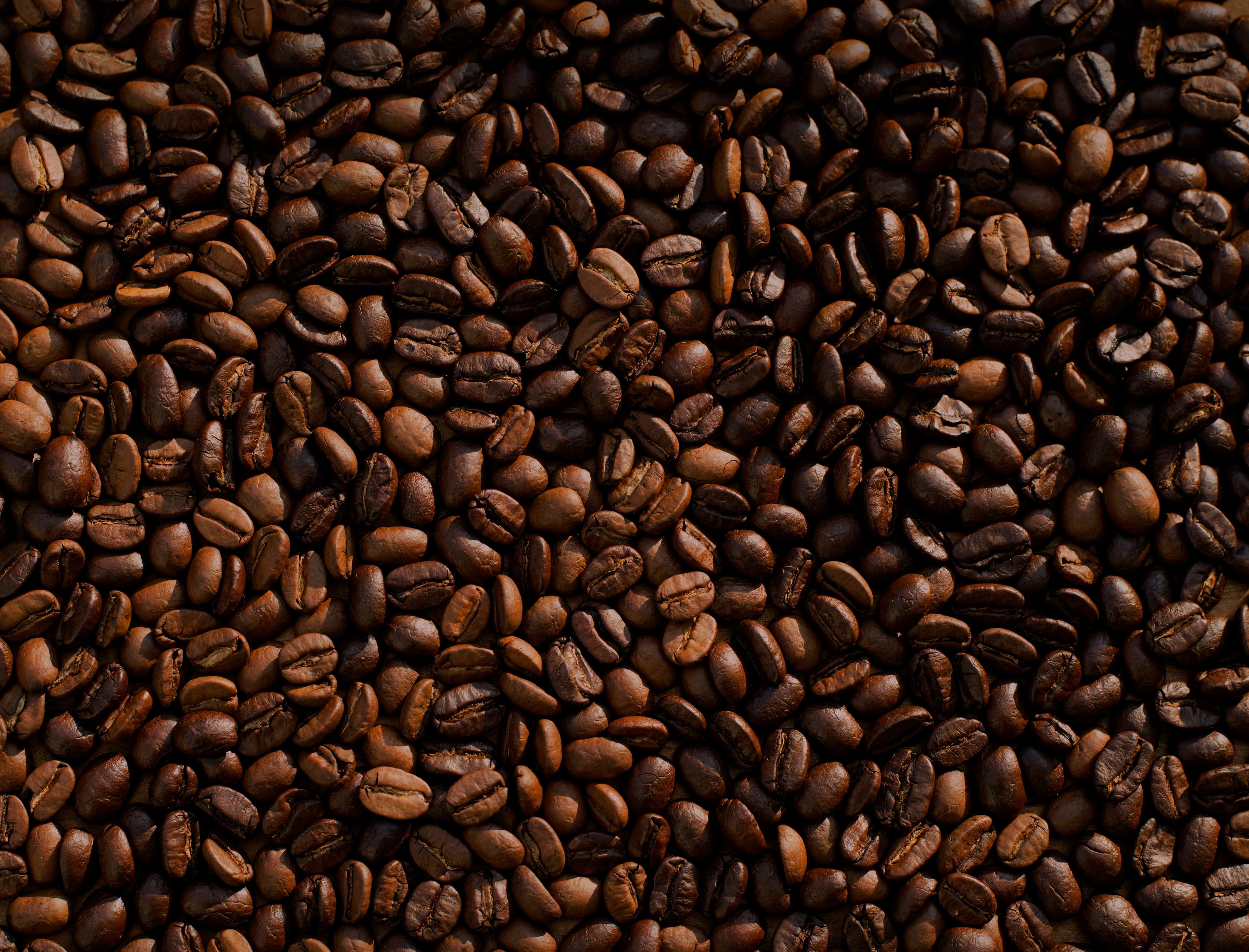 Rucchi Coffee Roaster