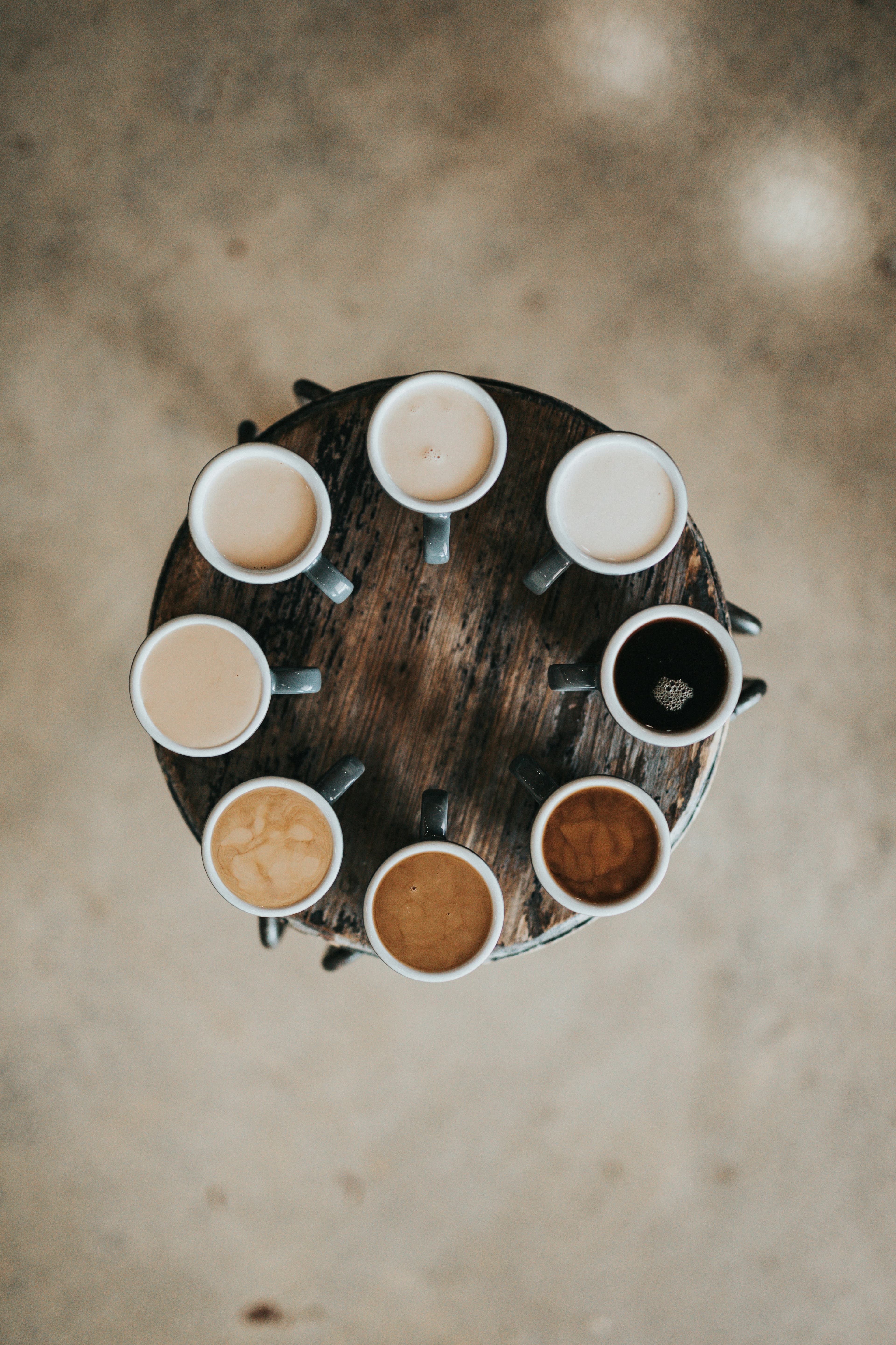 PARADISO COFFEE ROASTERS
