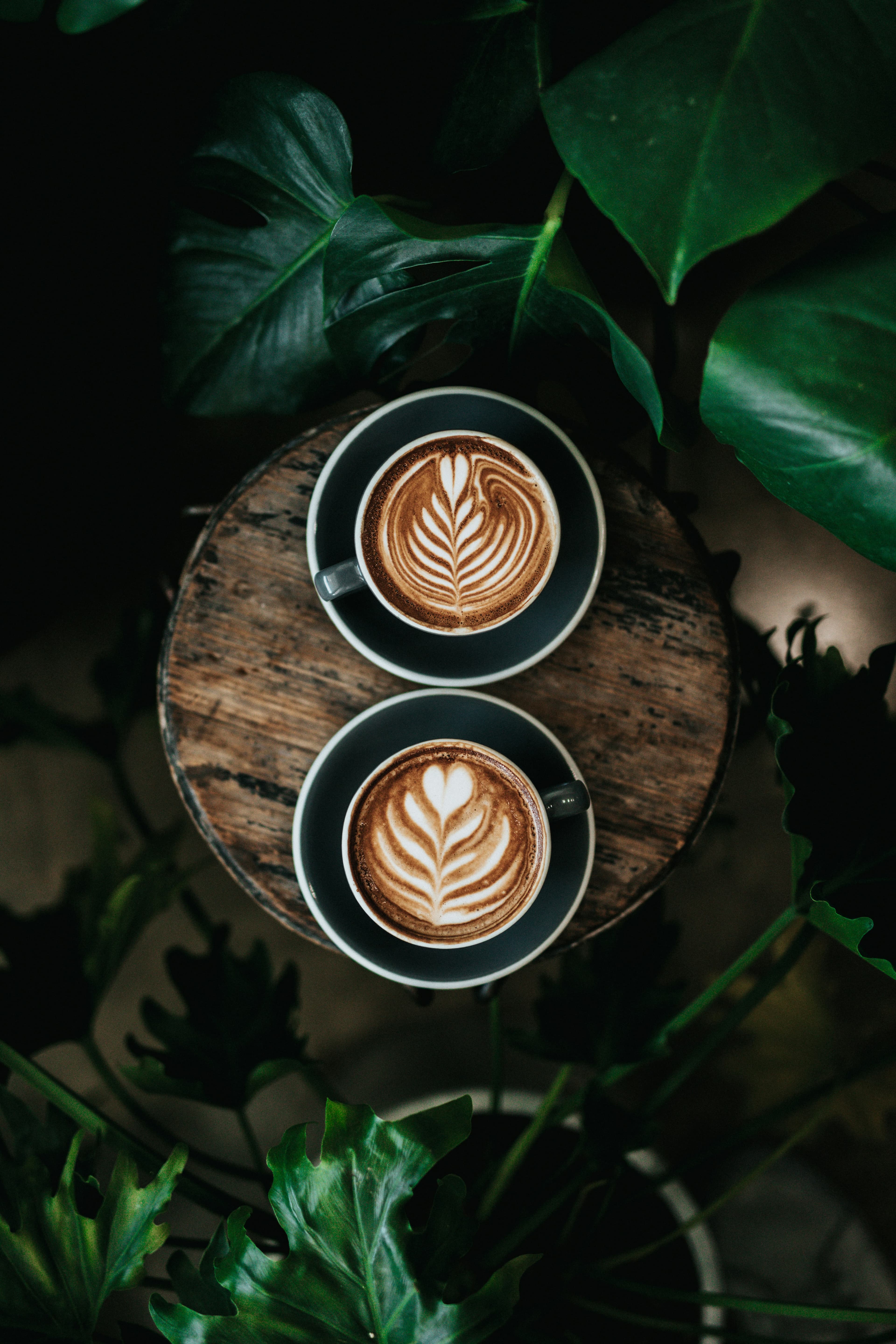 Day & Coffee
